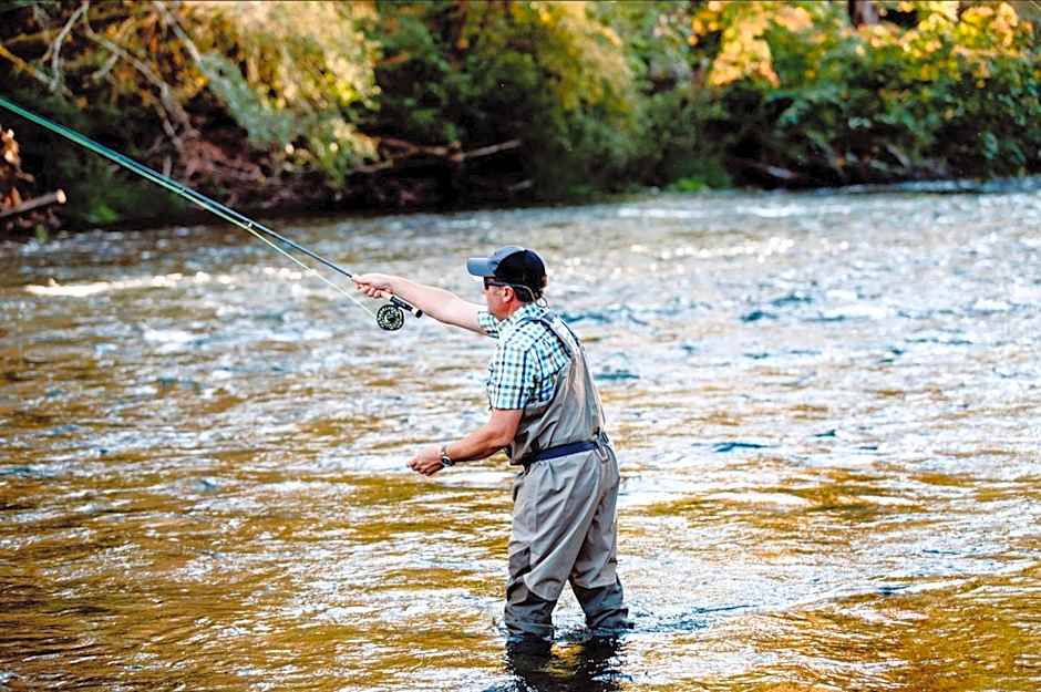 Cowichan River Lodge