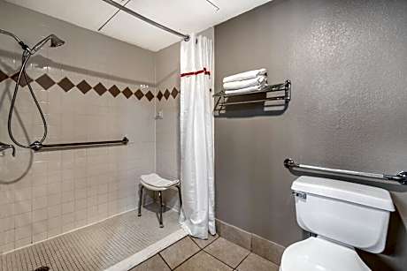 Suite with Two Queen Beds Disability Access Roll-In Shower Non-Smoking