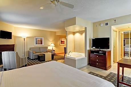 1 King Bed Studio Premium Suite Nonsmoking