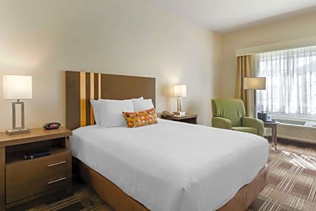 1 Queen Mob Accessible Roll In Shower Microwave Fridge Wi-Fi Non-Smoking Full Breakfast