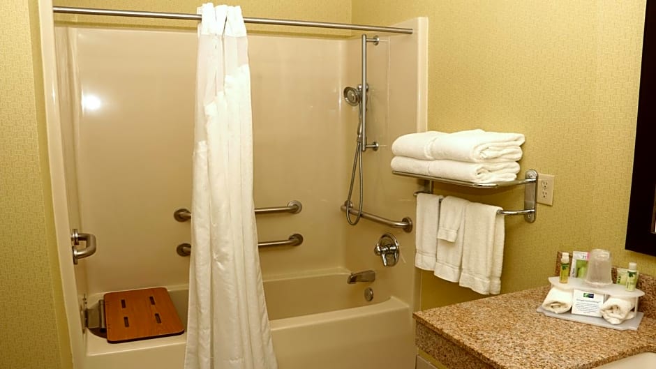Holiday Inn Express Hotel & Suites Saginaw by IHG