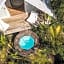 Salty Breeze Bali