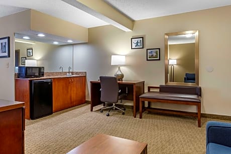 1 King Bed, Suite, Nonsmoking