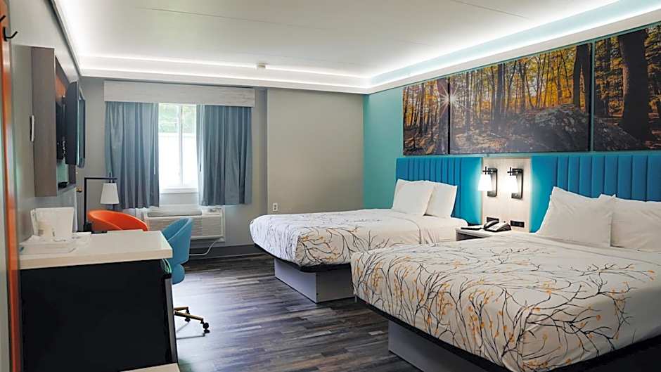 Photo 1 of 6 of 2 Queen Beds