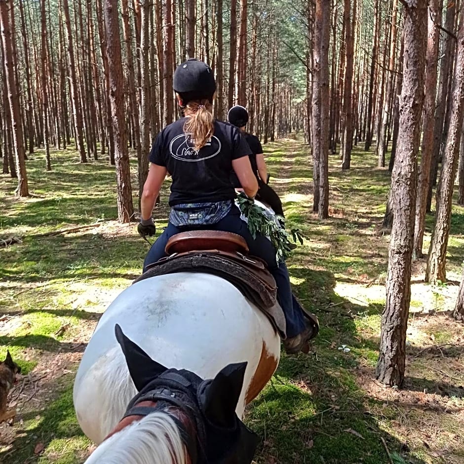 Stajnia Rajdowa Geronimo