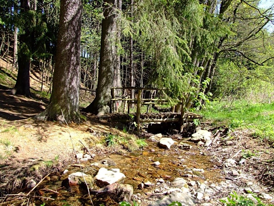 Waldgasthof & Hotel Am Sauwald