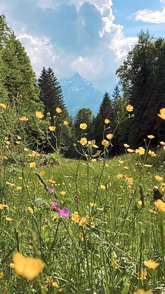 Hotel Gletscherblick