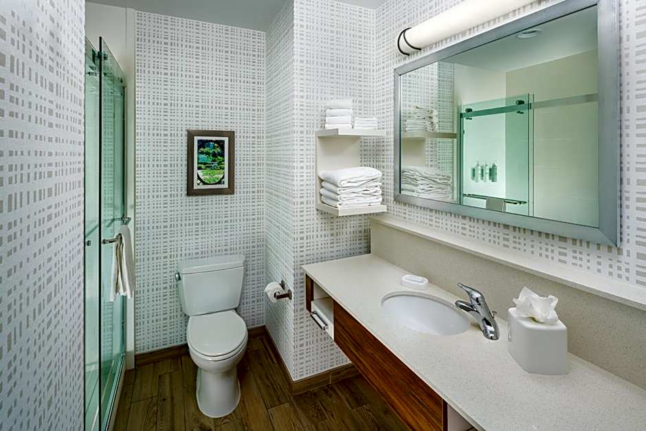 Hampton Inn & Suites Asheville Biltmore Village
