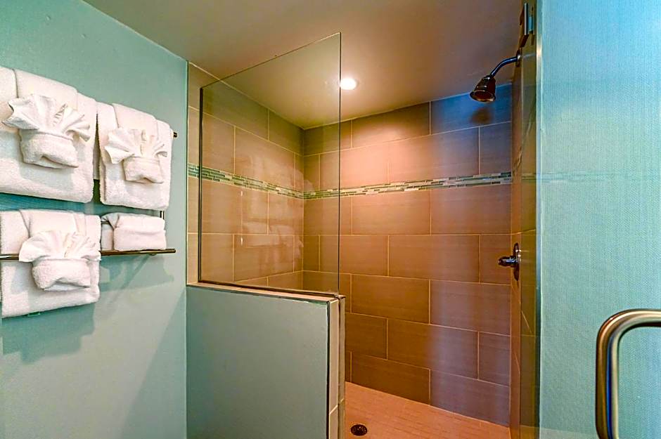 Holiday Inn University Area Charlottesville By IHG