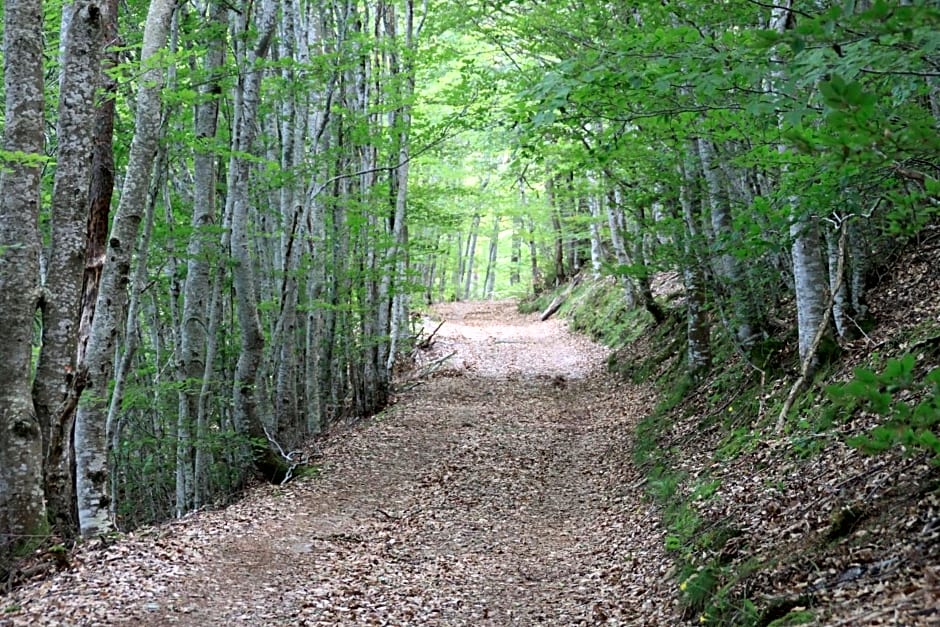 Les Chambres d'Hôtes Le Triskèle