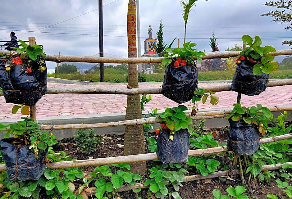 Hotel Wisma Mangurna