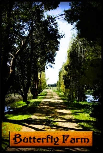 Butterfly Farm Bed and Breakfast Nirranda