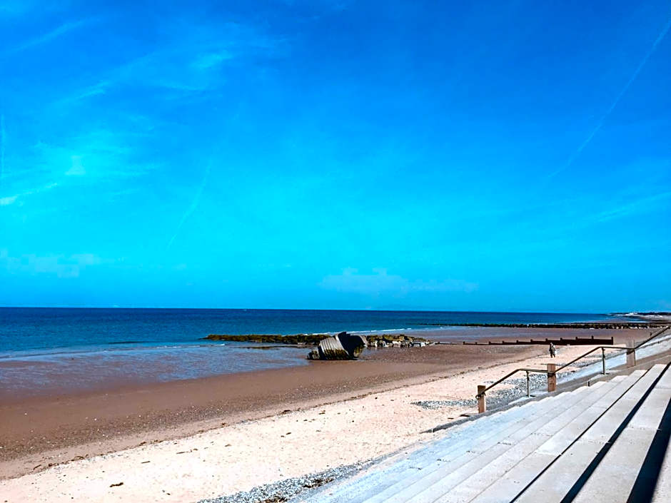 The Fossil Tree Hotel