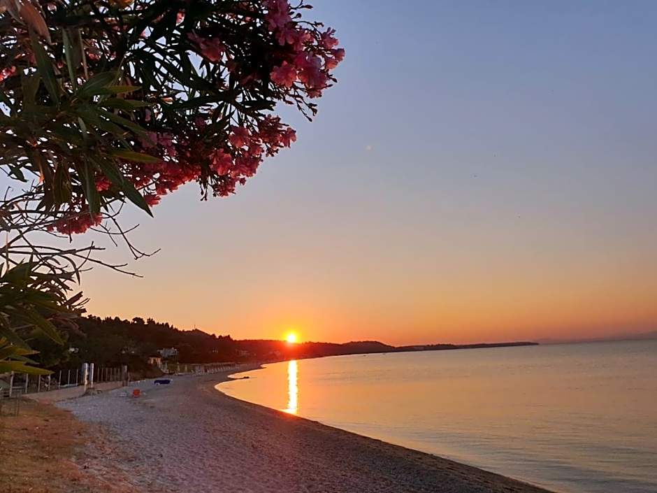 SUN RESIDENCE Exclusive Seaside Suites