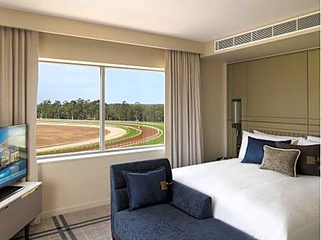 Executive King Suite