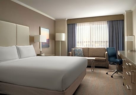 Deluxe King Room with Sofa Bed - Non Smoking