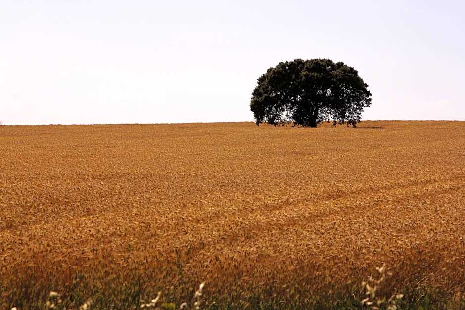 Pateo dos Solares Charm Hotel