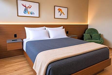 Superior Queen Room