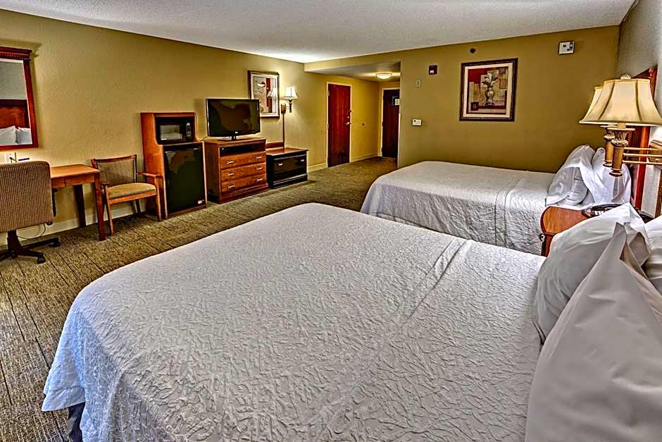 Hampton Inn By Hilton Manning, Sc