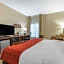 Comfort Inn & Suites Clemson - University Area