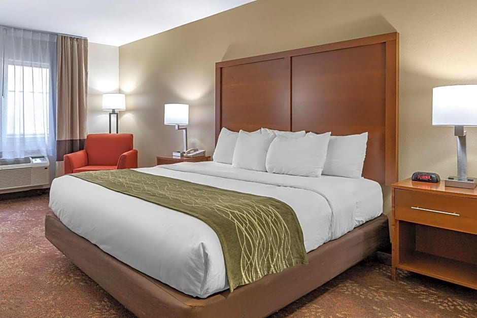 Comfort Inn Okemos