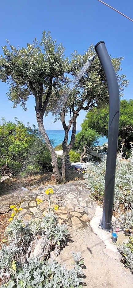 Captain's House Primošten - feel the sea