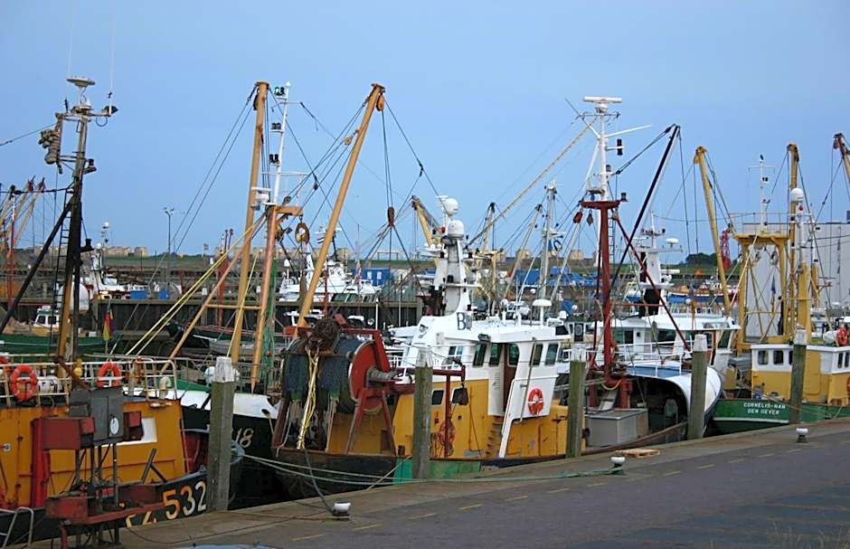 Het Huis van de Wadden