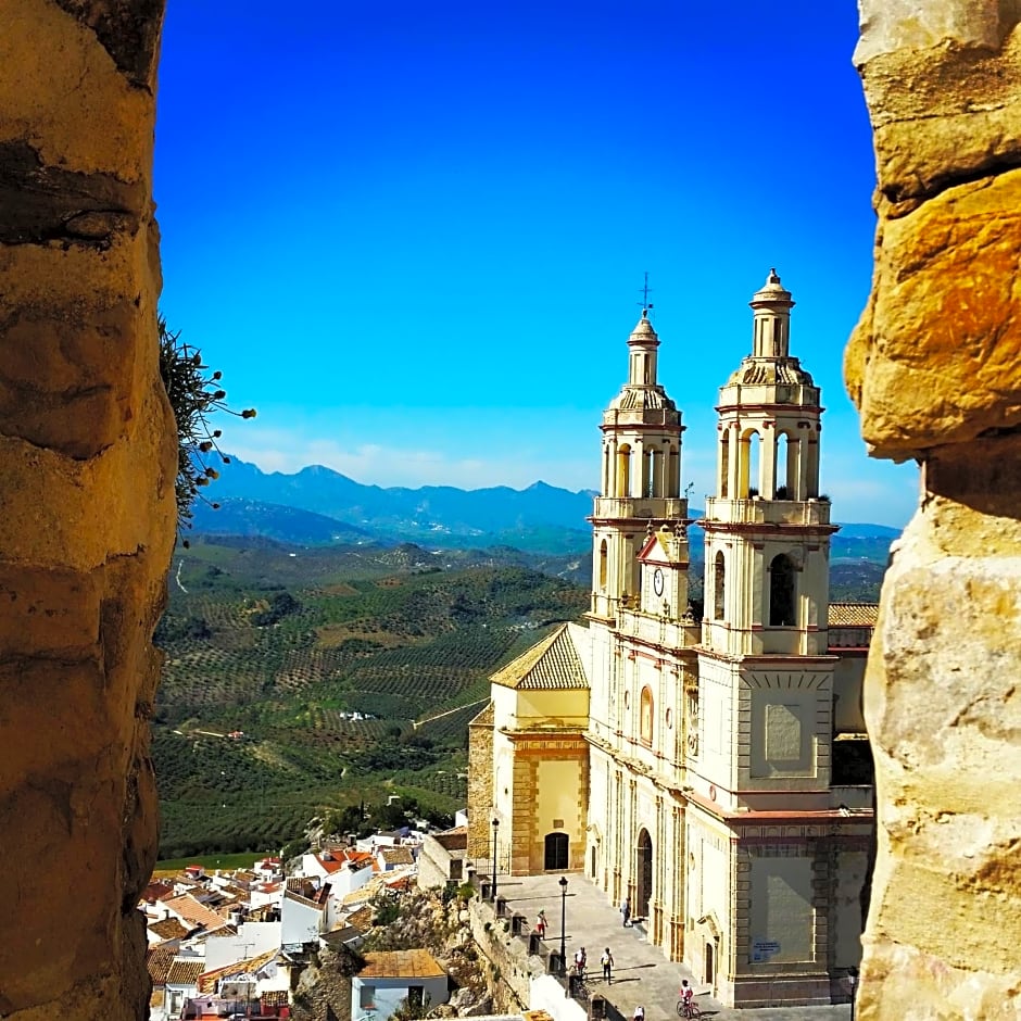 Olive Tree Bed and Breakfast