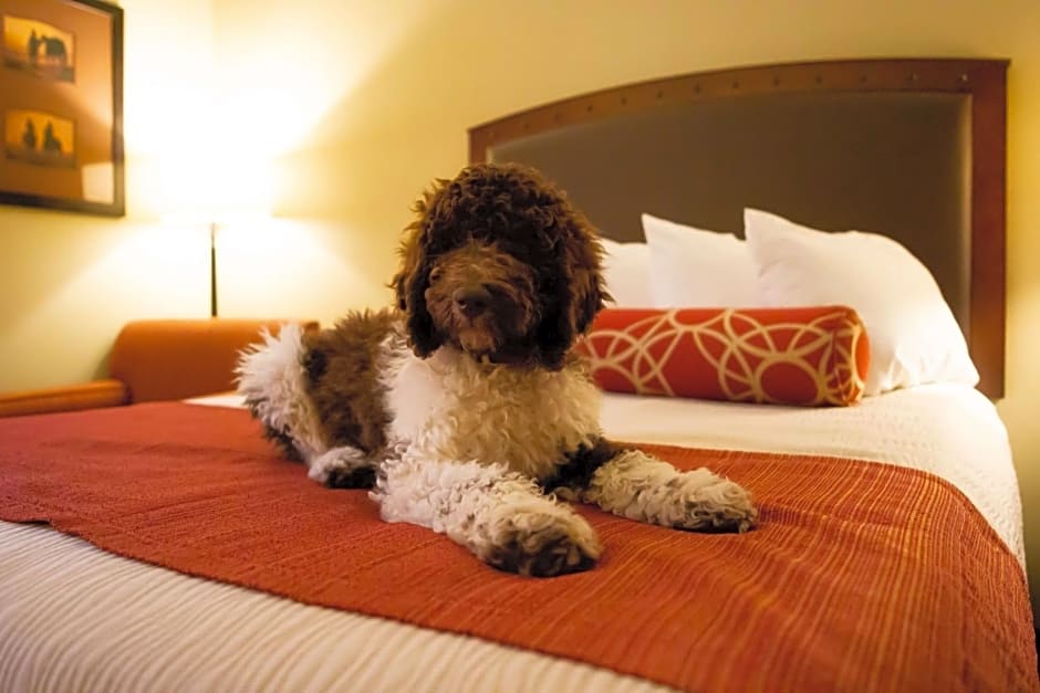 Best Western Plus Inn of Williams