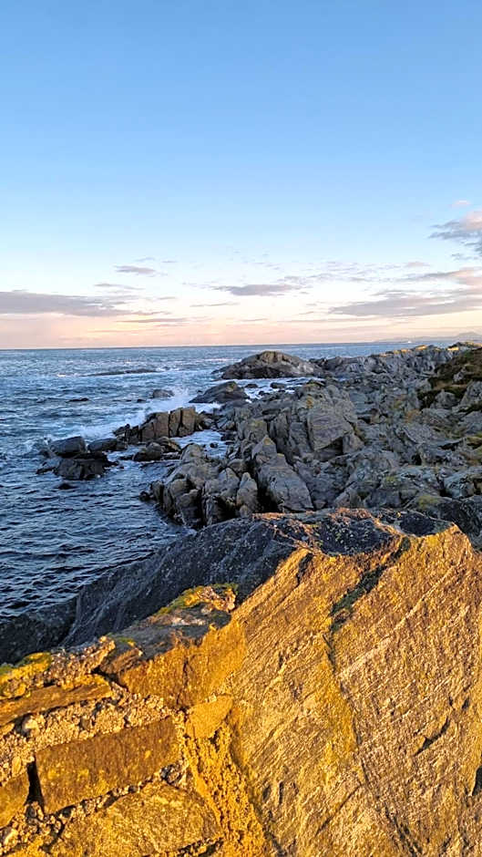 Runde Miljøsenter & Opplev Runde