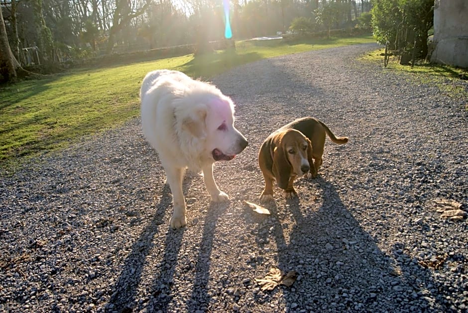 Chateau Saint Martin B&B