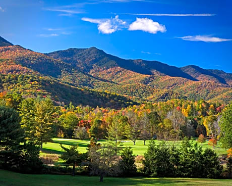 Mt Mitchell Cabin Rentals