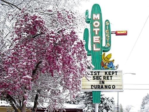 Siesta Motel