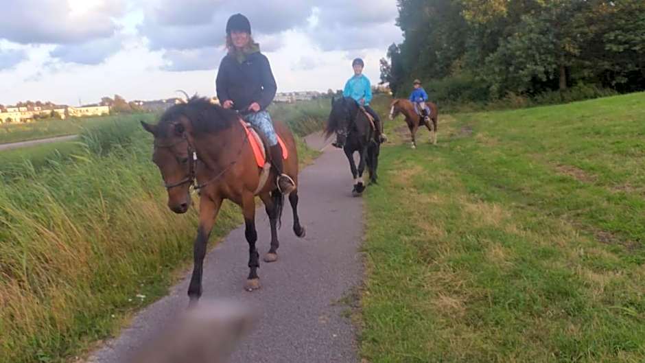 B&B boerderij rust, in pipowagens!