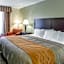 Comfort Inn Franklin Highway 96