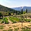 Chambre d'hôtes une fenêtre sur le Ventoux