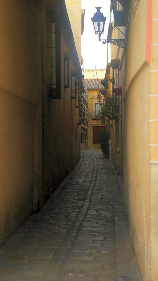 Apartamentos Flamenco B&B