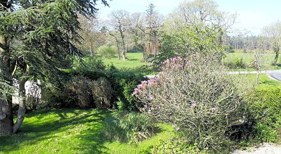 LE CHALET SUISSE - Chambre bleue