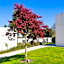 Hotel A Curuxa Wellness