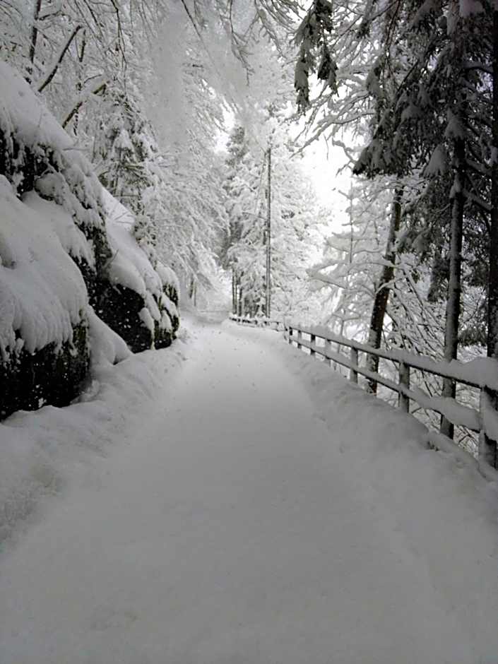 Albergo Dei Pescatori