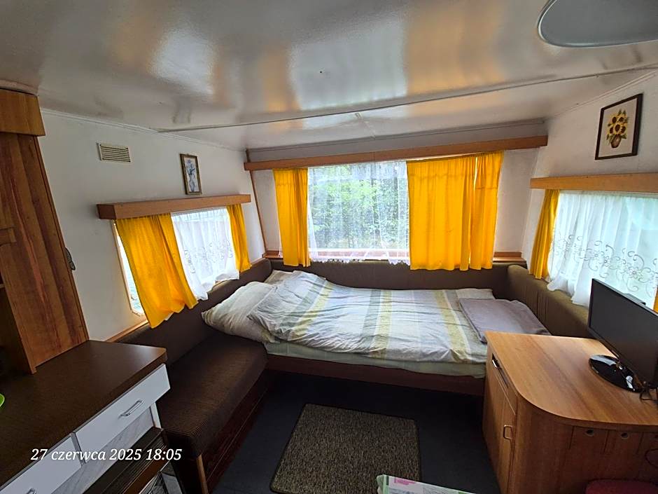 Dom Bursztynek - holender