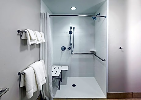 Standard King Room with Roll-in Shower - Mobility Accessible