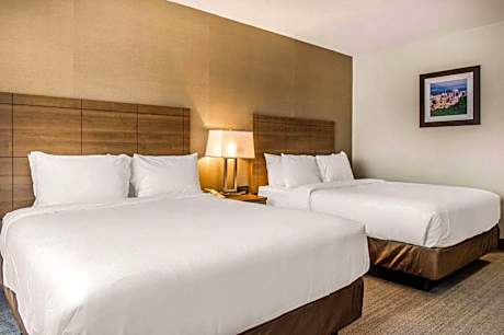 Double Room with Two Double Beds