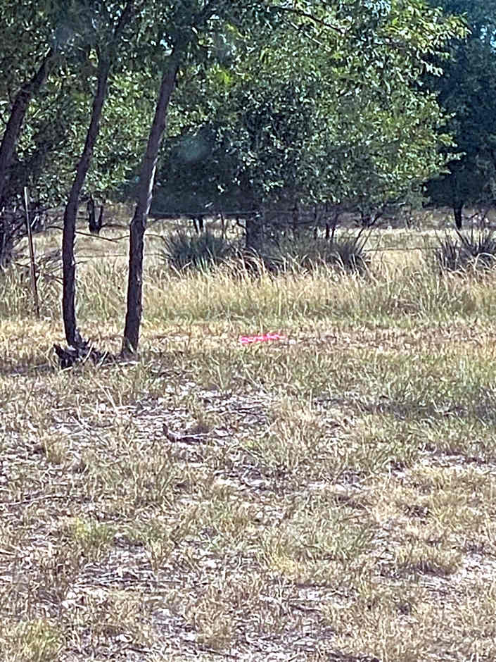 Apt 5 - High Plains Lodge at Nomad Landing