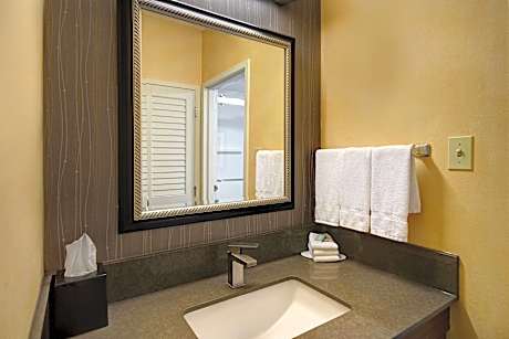 Room, 1 King Bed with Sofa bed (Mobility/Hearing Access, Roll-in Shwr)