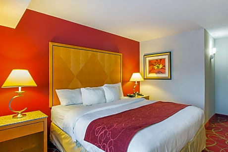 1 Bedroom King Suite