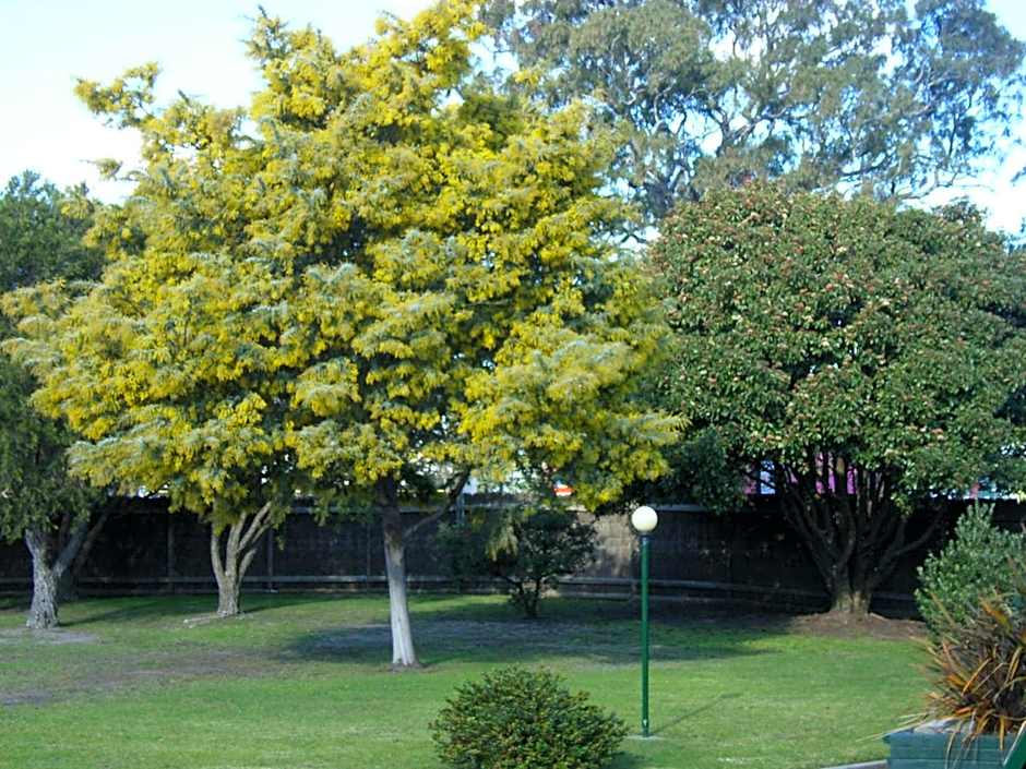 Bairnsdale Main Motel