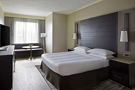 1 Bedroom Executive Suite, 1 King, Sofa bed, Balcony