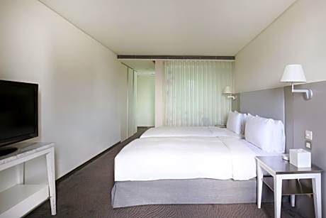 Business Twin Room