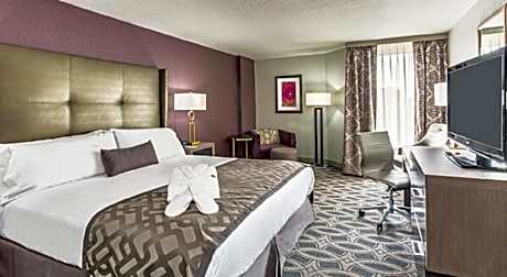 Standard King Room